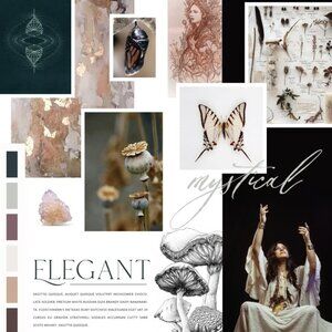 Meet your Posher, Ali